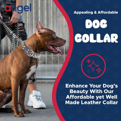 - Amsterdam Spiked Dog Collar, Genuine Leather Dog Collar for Large Dogs to Extra Large Dogs, Water-Resistant, Thick Dog Collar with D-Ring, Chocolate Brown Collar, 22 X 1.5 Inches