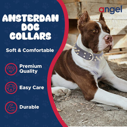 - Amsterdam Spiked Dog Collar, Genuine Leather Dog Collar for Large Dogs to Extra Large Dogs, Water-Resistant, Thick Dog Collar with D-Ring, Chocolate Brown Collar, 22 X 1.5 Inches