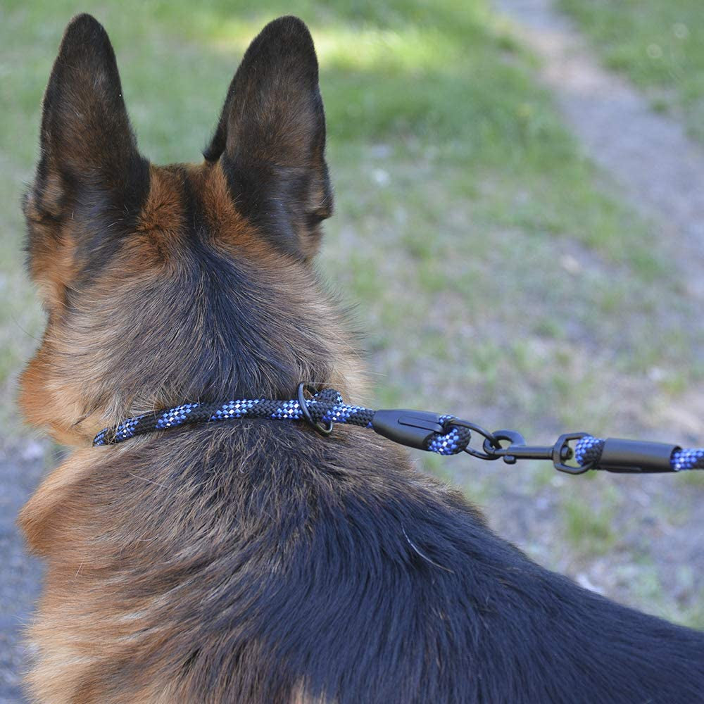 Rope Pro Training Dog Collar Braided No Pull Quick Release round Lead Collars for Dogs Small Medium Large Puppy (XS - 15.7" Long, Blue)