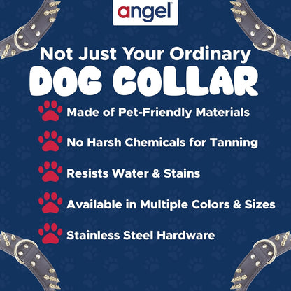 - Amsterdam Spiked Dog Collar, Genuine Leather Dog Collar for Large Dogs to Extra Large Dogs, Water-Resistant, Thick Dog Collar with D-Ring, Chocolate Brown Collar, 22 X 1.5 Inches