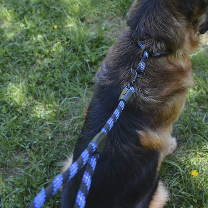 Rope Pro Training Dog Collar Braided No Pull Quick Release round Lead Collars for Dogs Small Medium Large Puppy (XS - 15.7" Long, Blue)